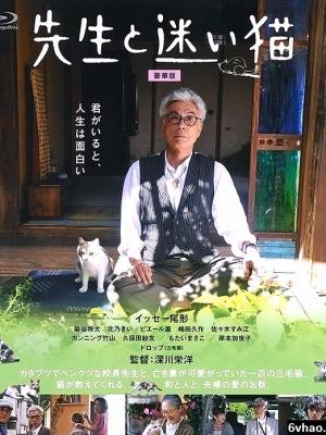 潮汐走廊 在线播放封面